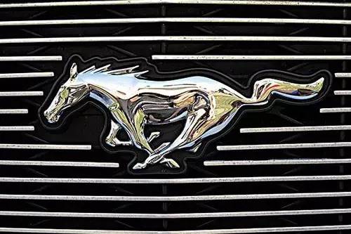 車(chē)標(biāo)上的動(dòng)物都是啥來(lái)頭？看完又能出去裝X了