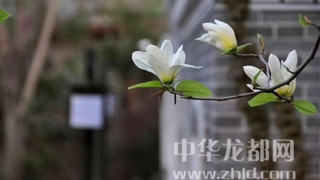 淮陽蓮舍，多了一份味道