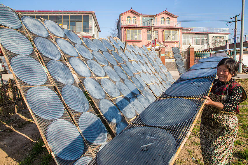 見過傳統(tǒng)技法做粉皮嗎？隨鏡頭走進(jìn)豫東農(nóng)村看看吧