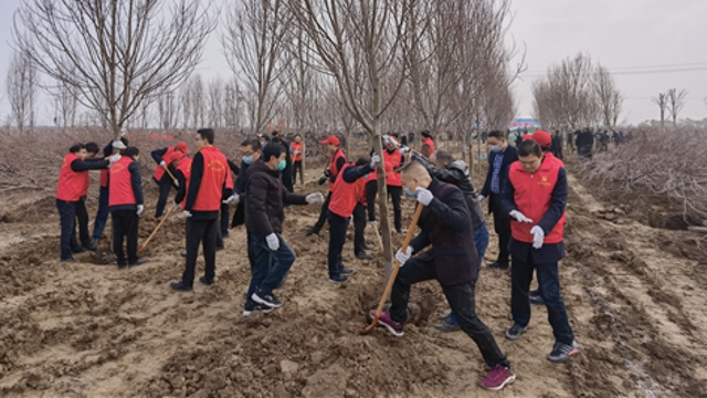 栽下樹苗，留下新綠