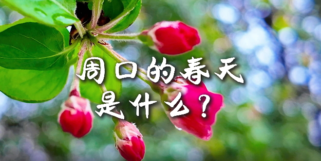 周口的春天，待你慢慢遇見